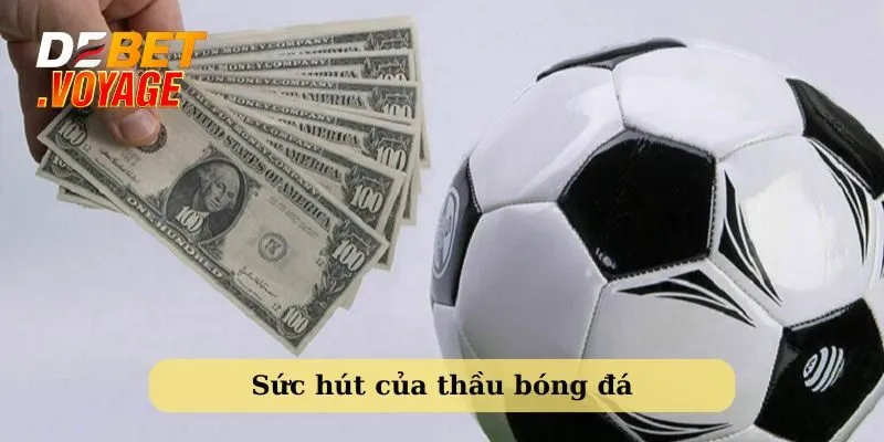 Thầu bóng đá là gì? Tất tần tật những điều Debet chia sẻ 4 Sức hút của thầu cá độ bóng đá